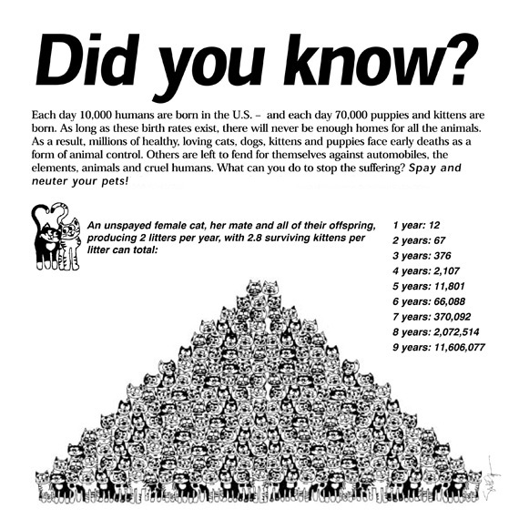 Cats_Multiply_Pyramid1
