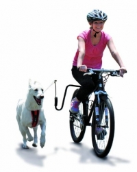 biking-with-dogs