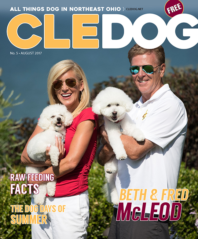 CLEDOG – July 2017